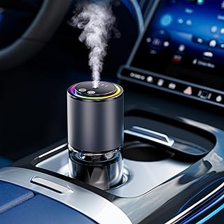 Car Air Fresheners